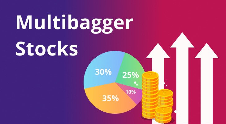 Multibagger Stock