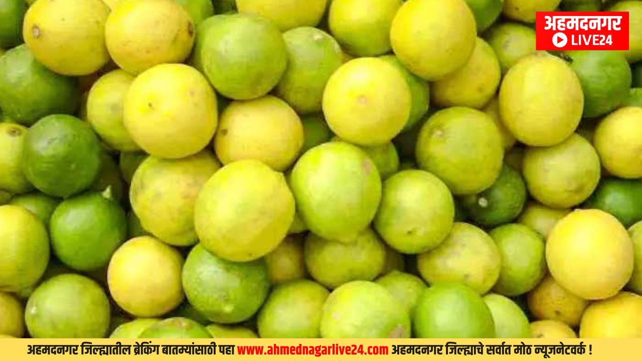 Ahmednagar Market