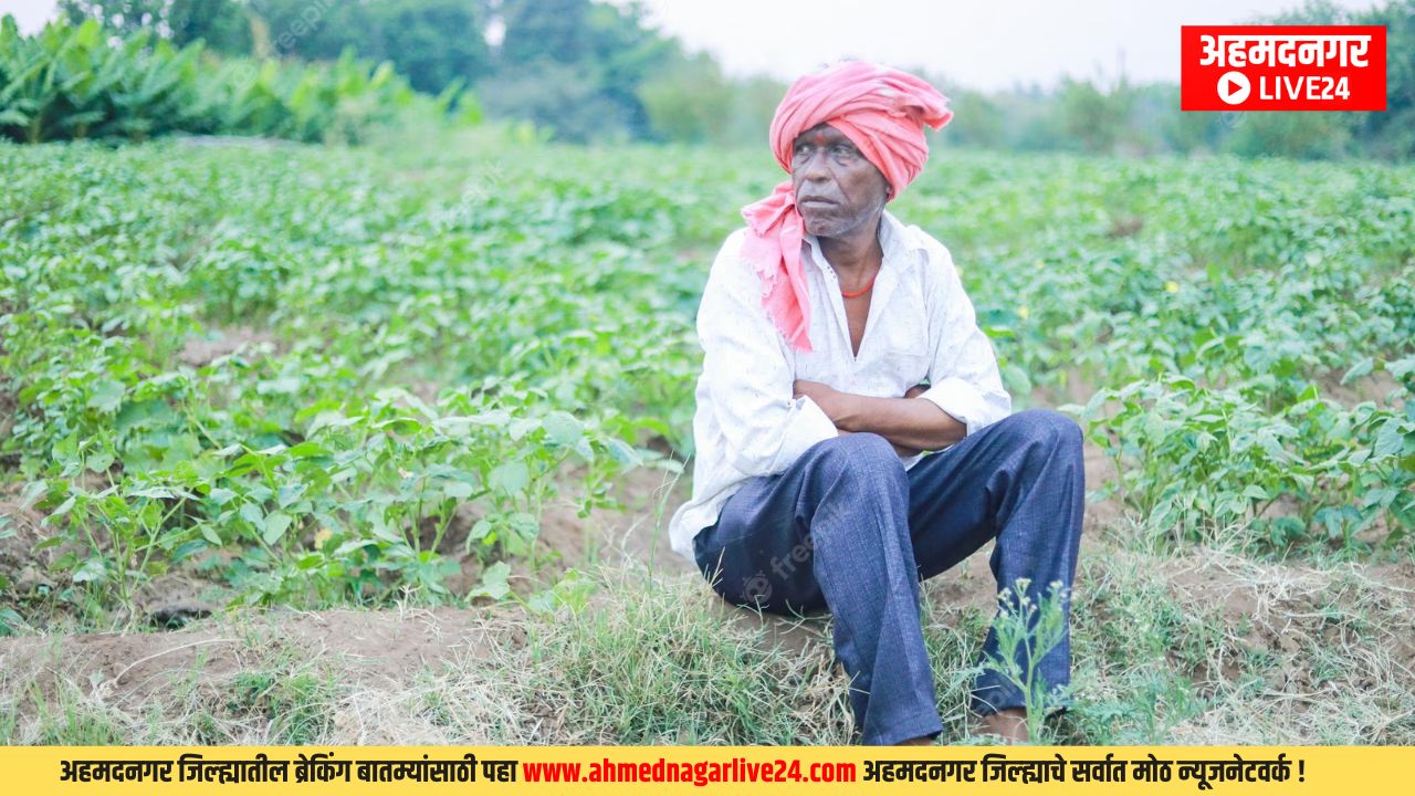 Maharashtra News
