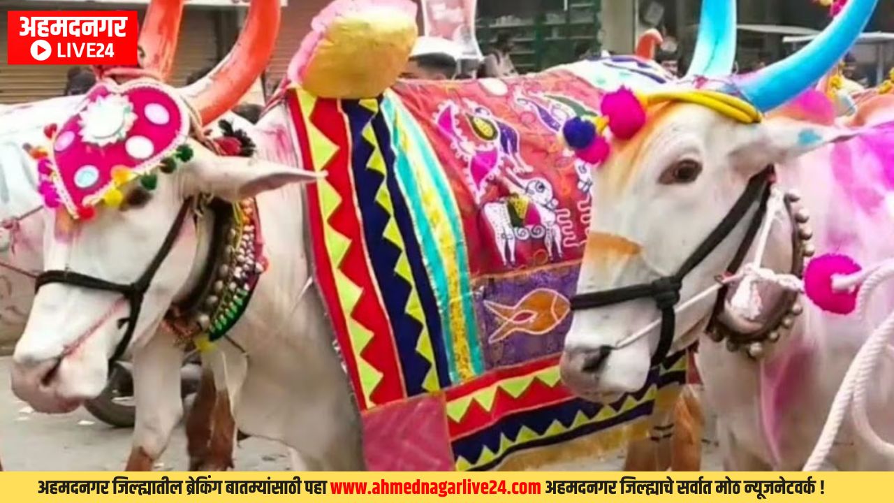 Maharashtra News