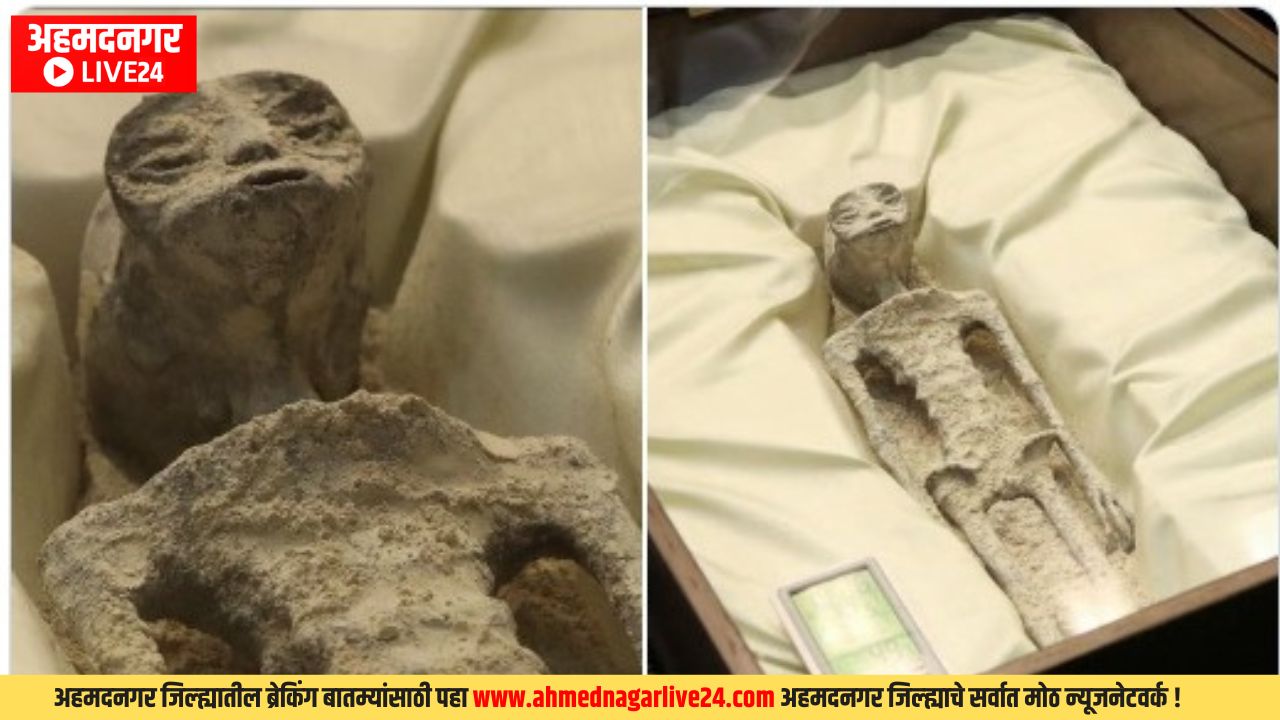 Dead bodies of aliens