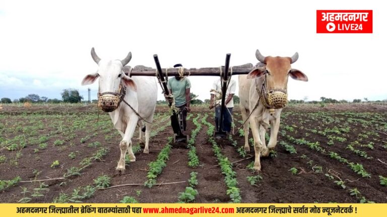 Ahmednagar News