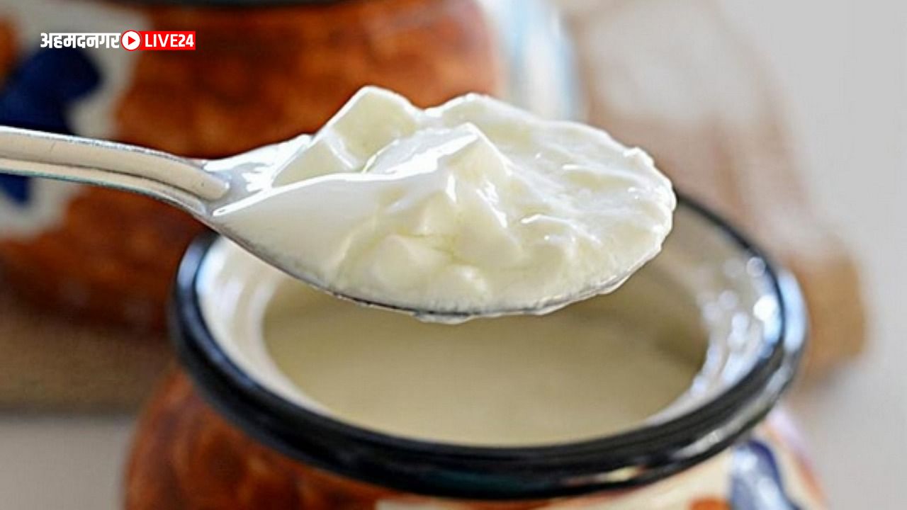 Benefits Of Eating Sour Dahi