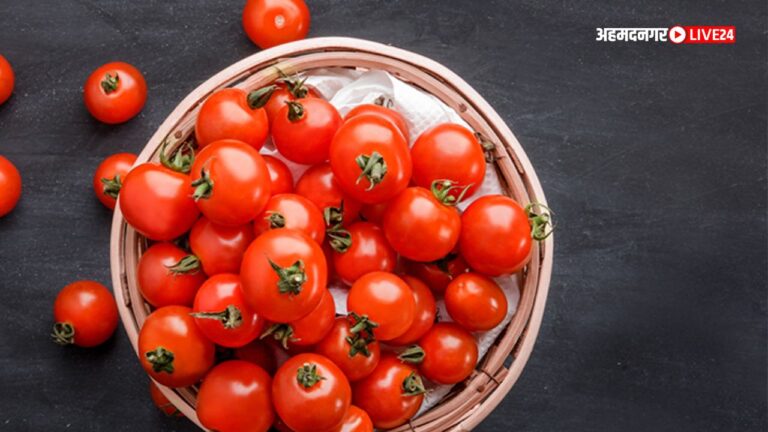 Cherry Tomatoes Health Benefits