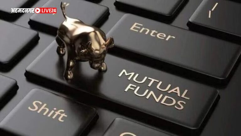 Top Small Cap Funds