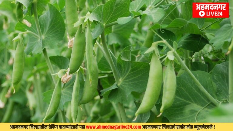 Farmer Success Story