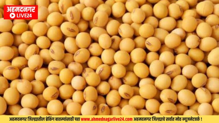 Soyabean Bhav