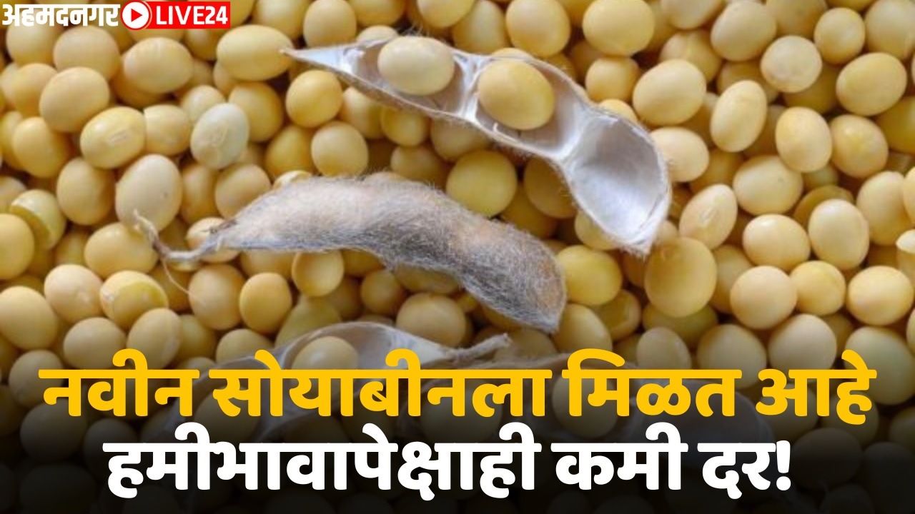 soyabean bajar bhav
