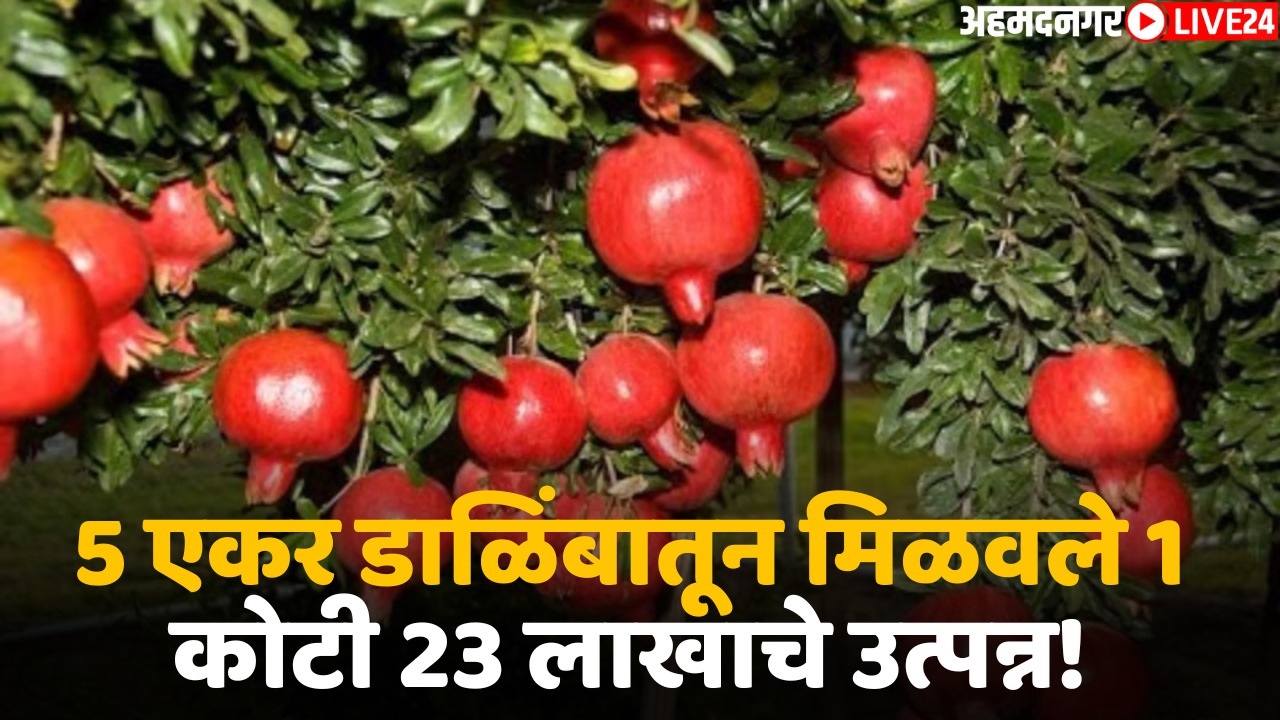 farmer success story