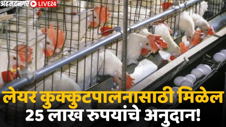subsidy for poultry business