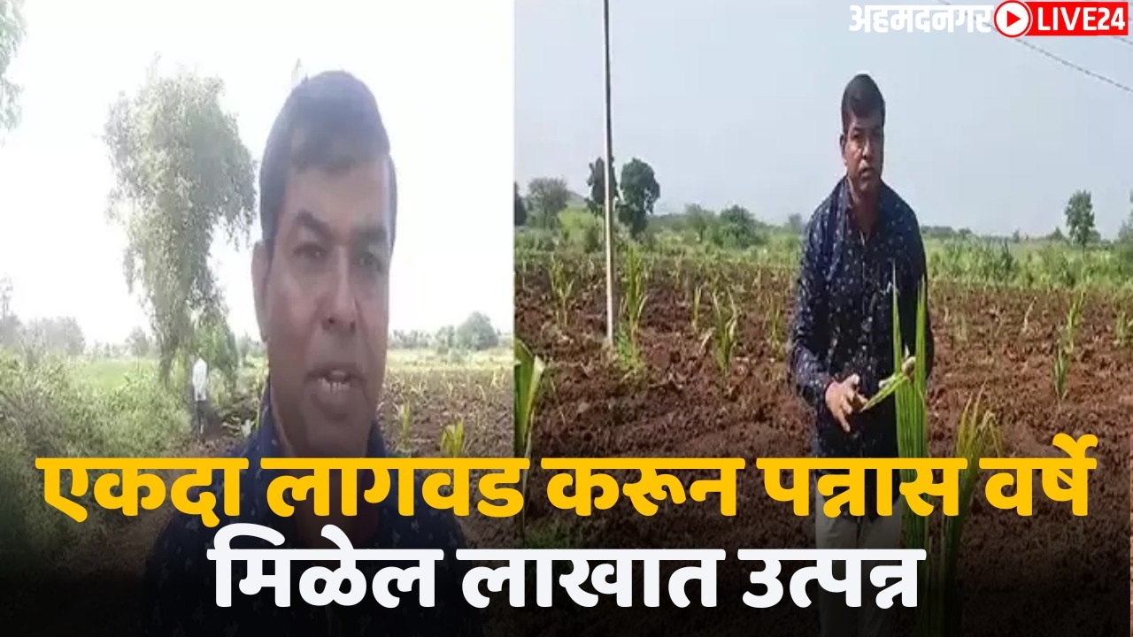 success story