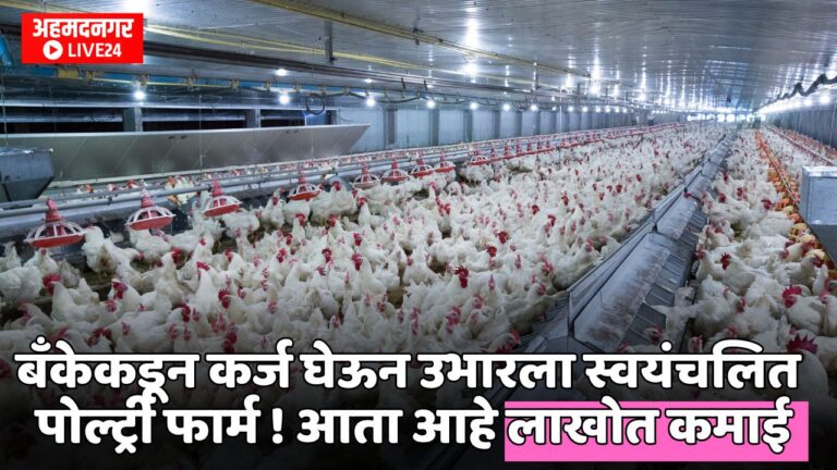 Poultry Farm Business