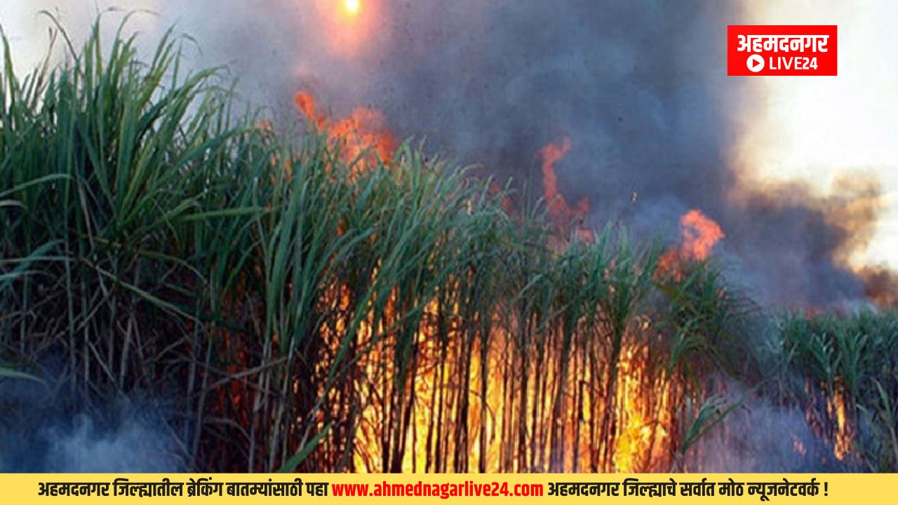 Ahmednagar News