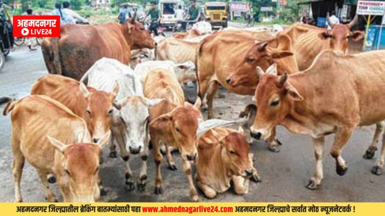 Ahmednagar News