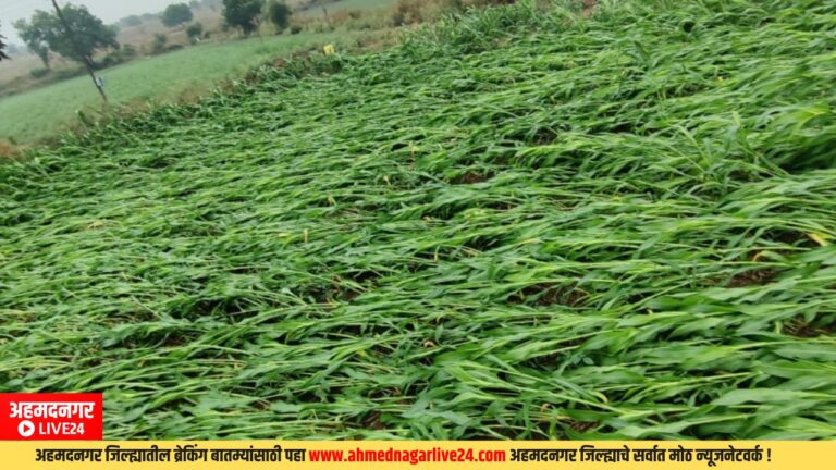 Agricultural News