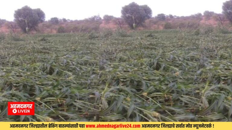 Ahmednagar News