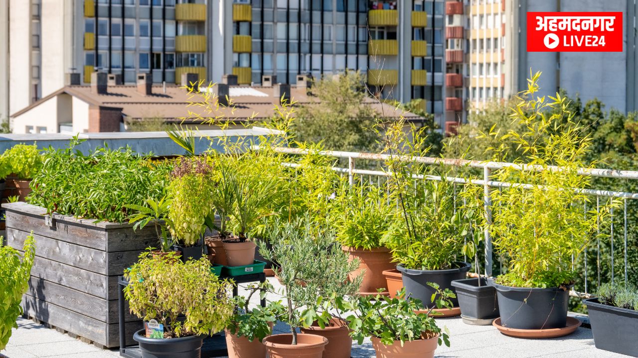 Urban Farming