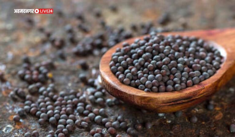 Benefits Of Mustard Seeds