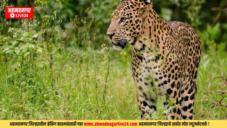 Ahmednagar News