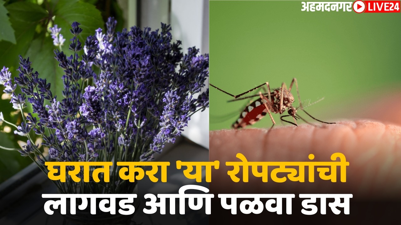 mosquito relief tips