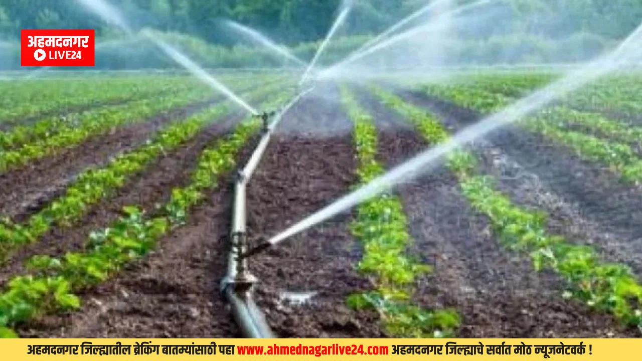 Ahmednagar News