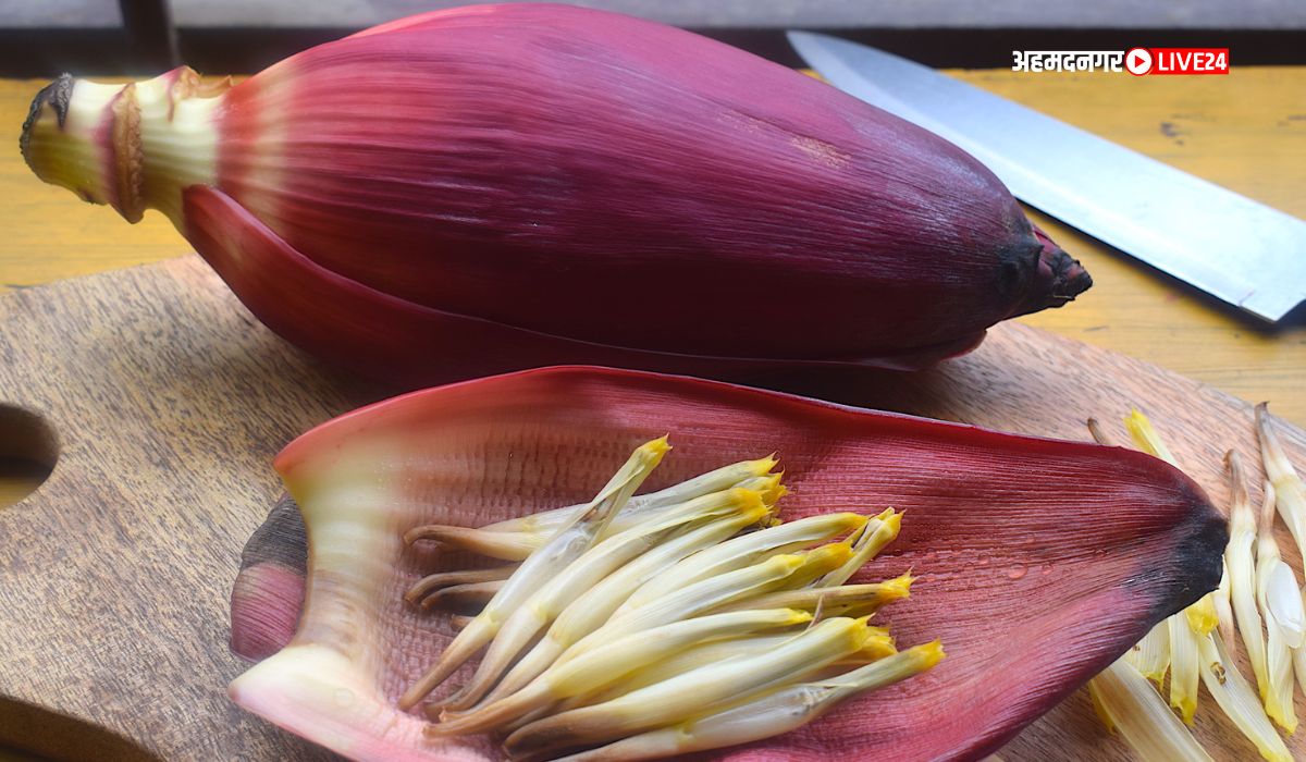 Banana Flower Benefits