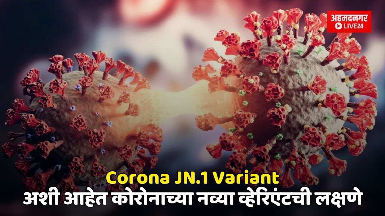 Corona JN.1 Variant