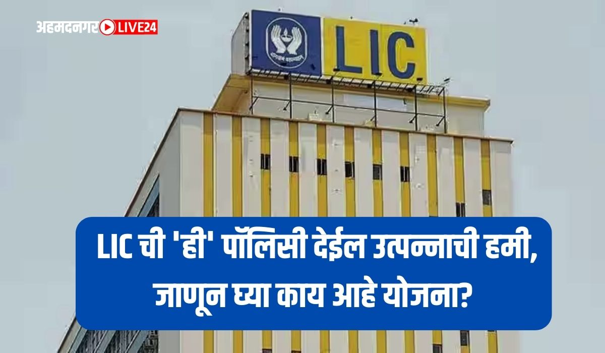 LIC Policy