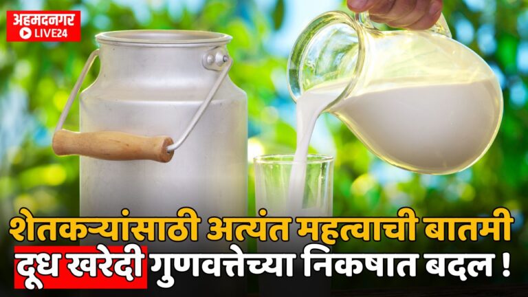 Maharashtra News