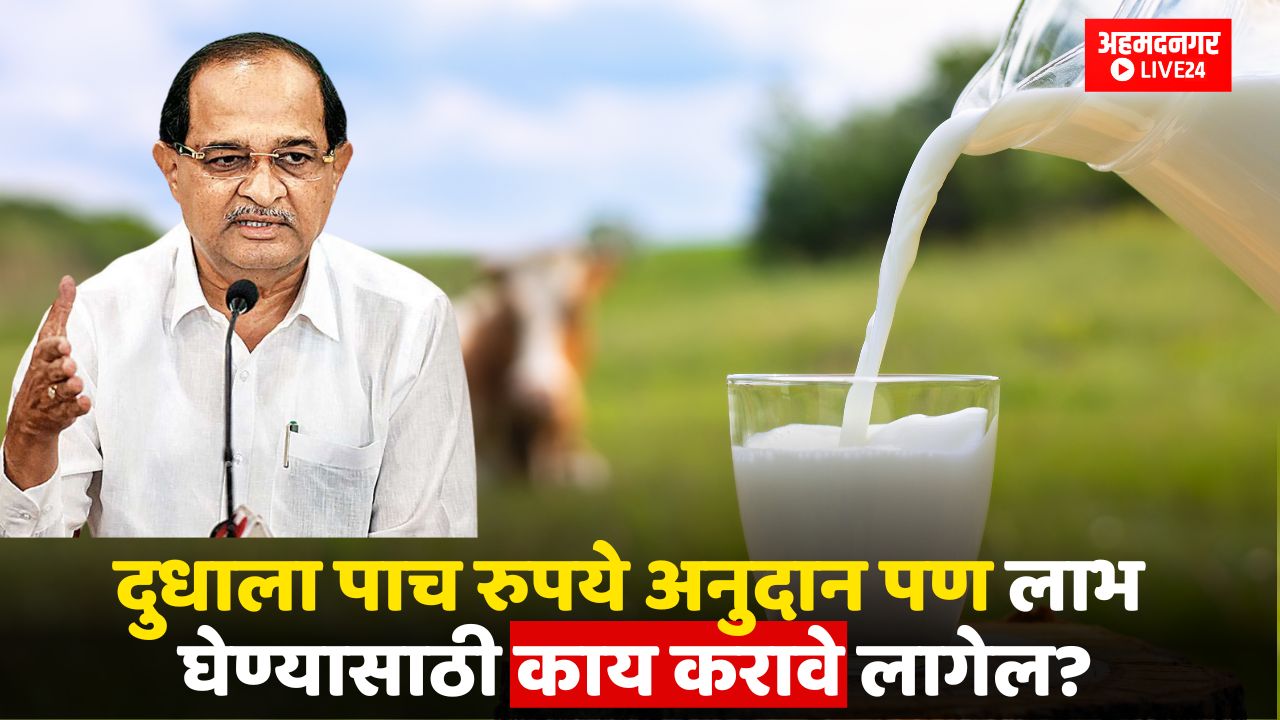 Milk Price