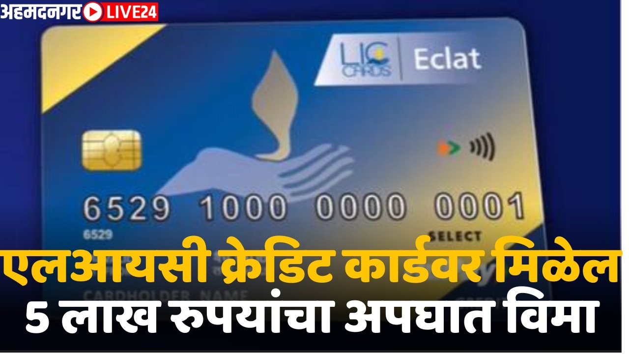 lic credit card