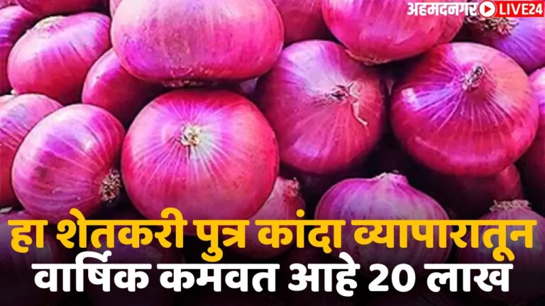 onion trading business