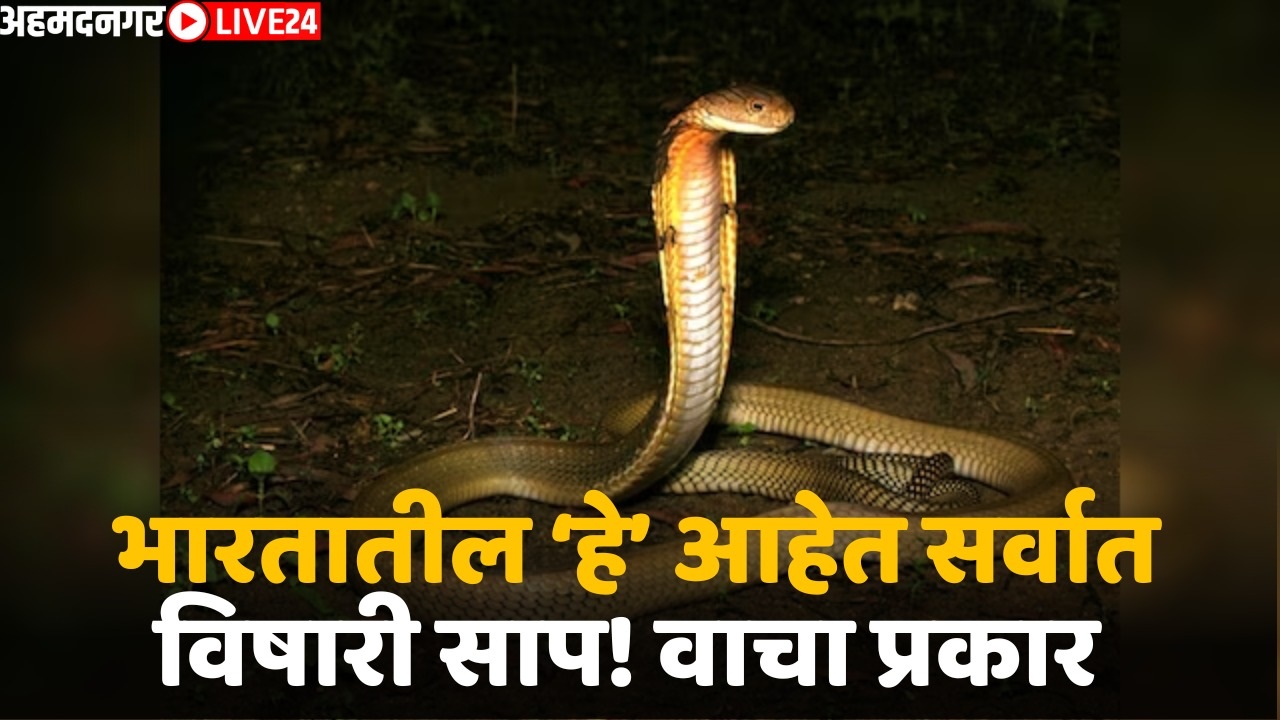 poisonous snake species in india