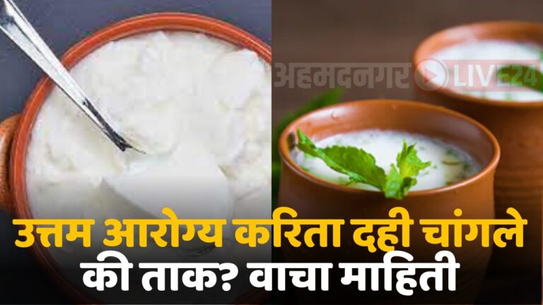 health benifit to curd