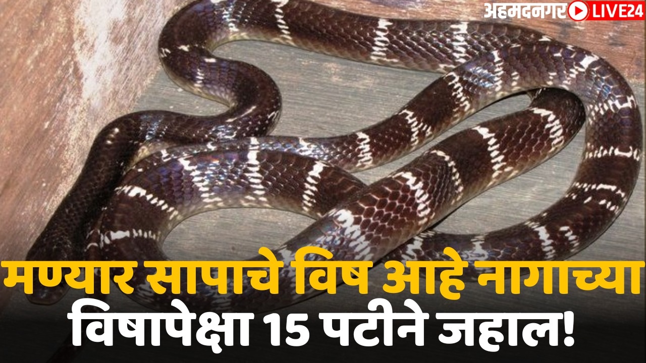 maniyaar snake