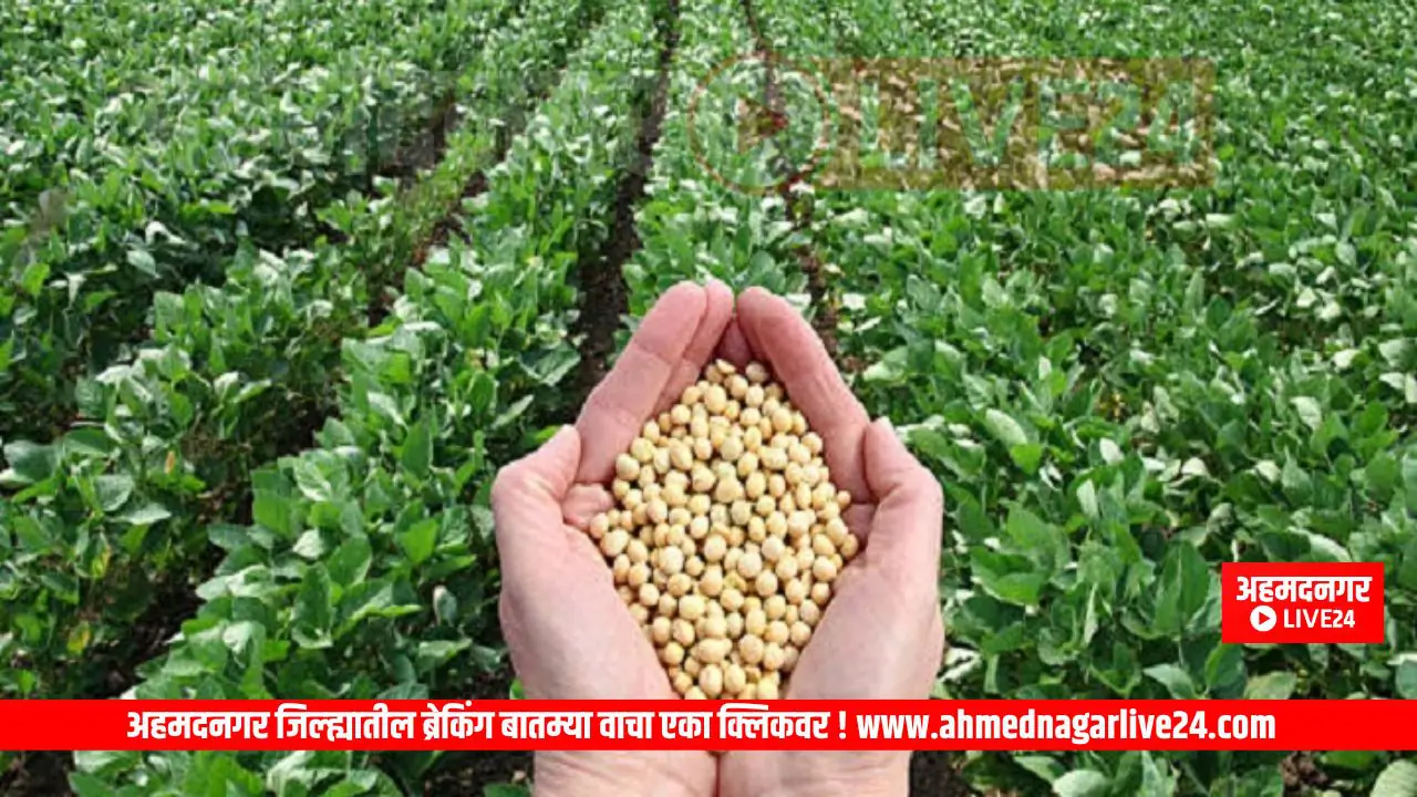 Ahmednagar News