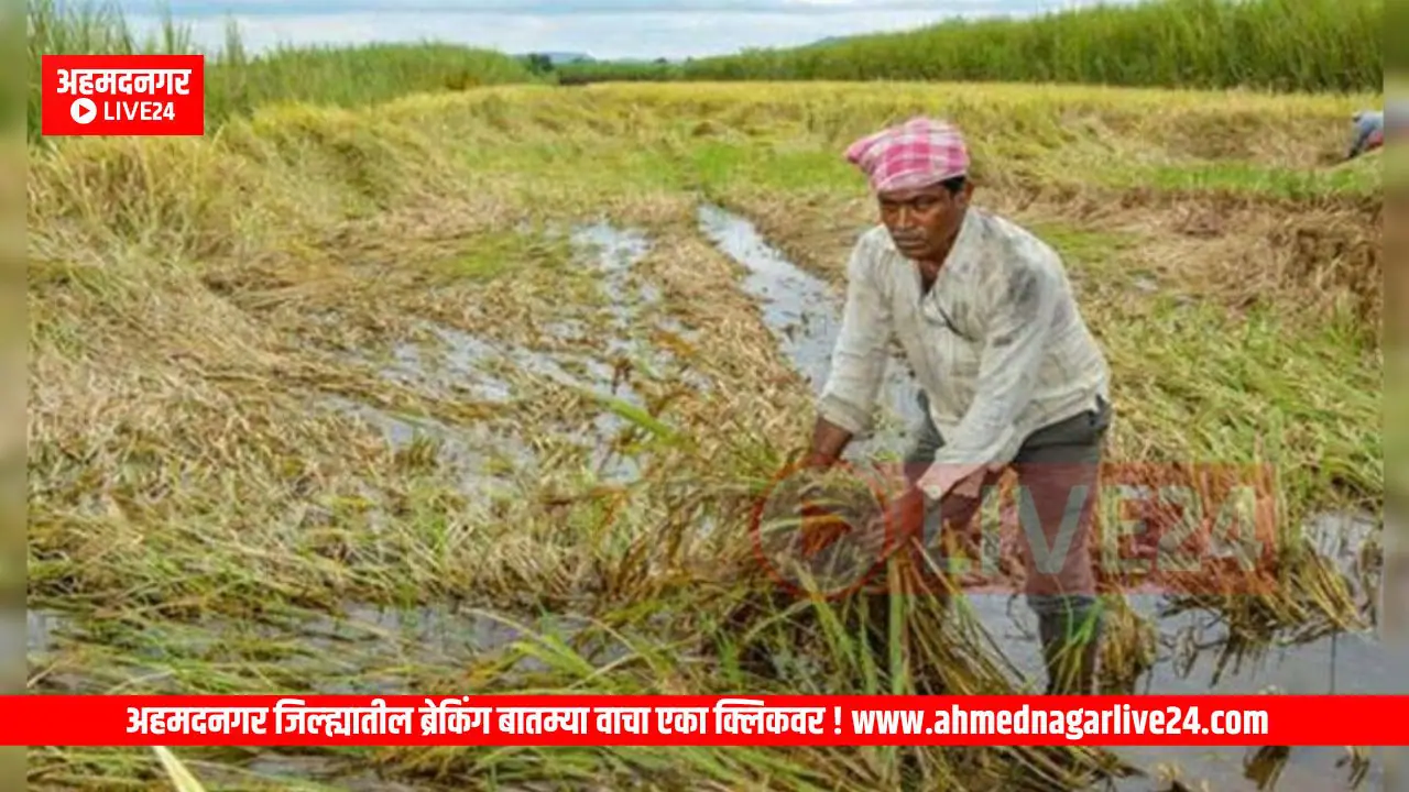 Maharashtra News