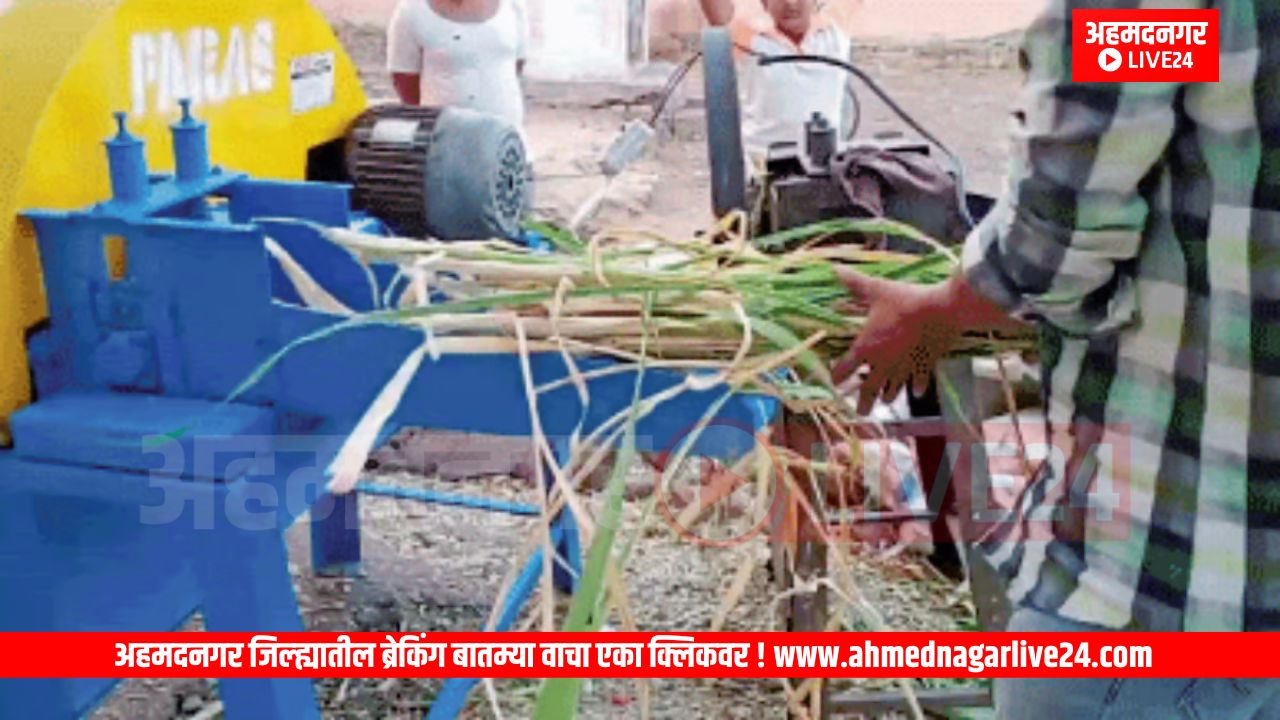 Ahmednagar News