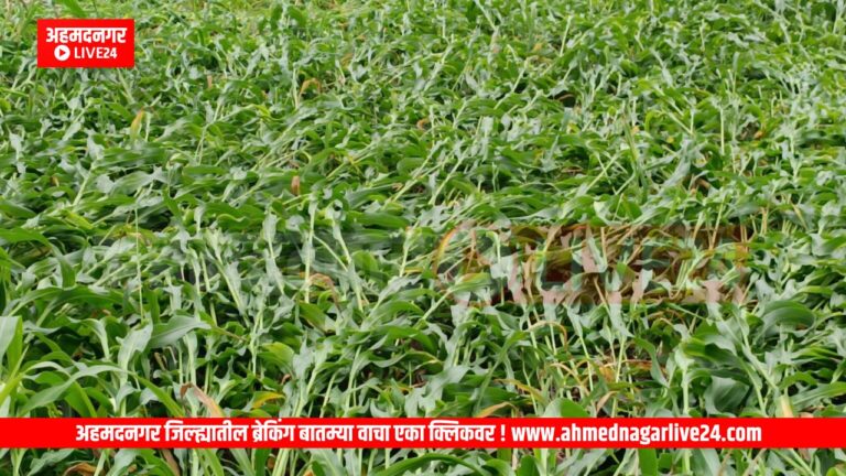 Ahmednagar News