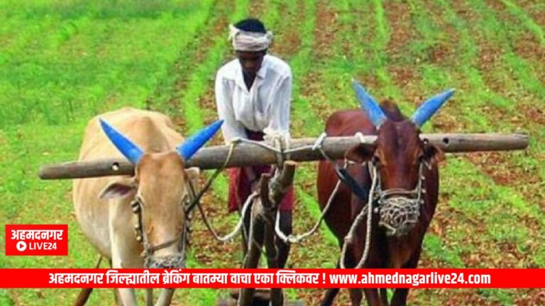 Maharashtra News