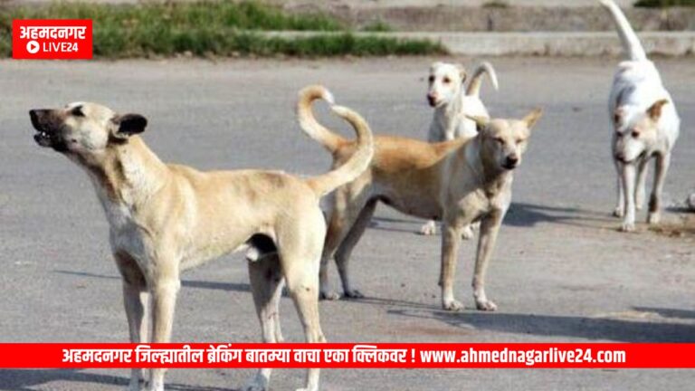 Ahmednagar News