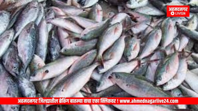 Ahmednagar News