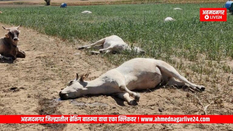 Ahmednagar News