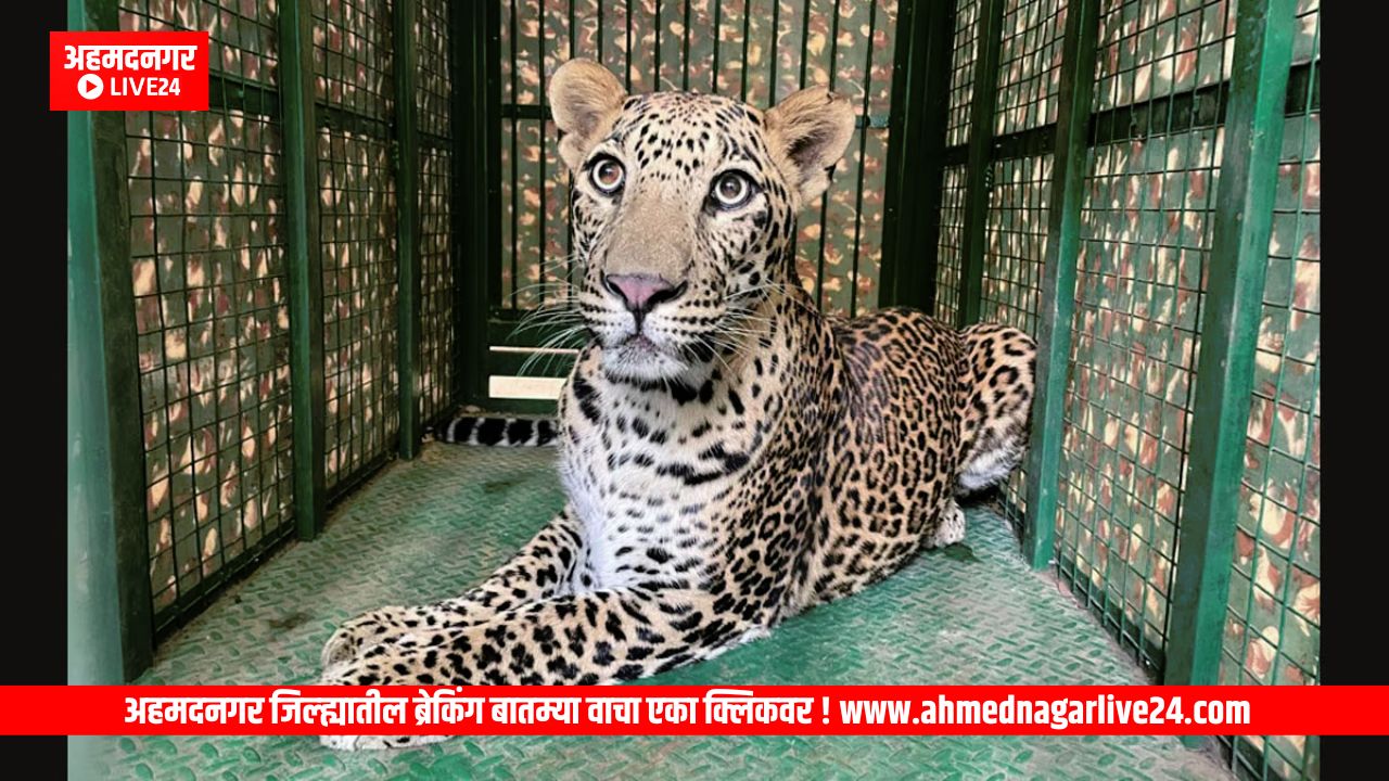 Ahmednagar News