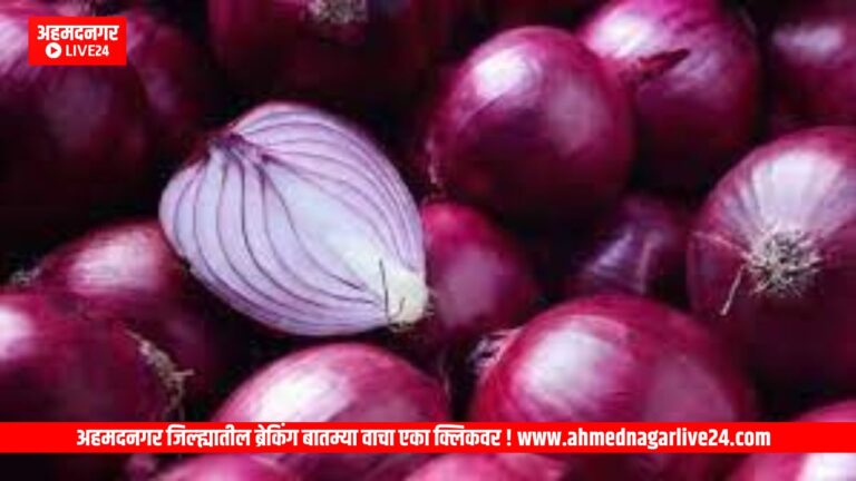 Ahmednagar News