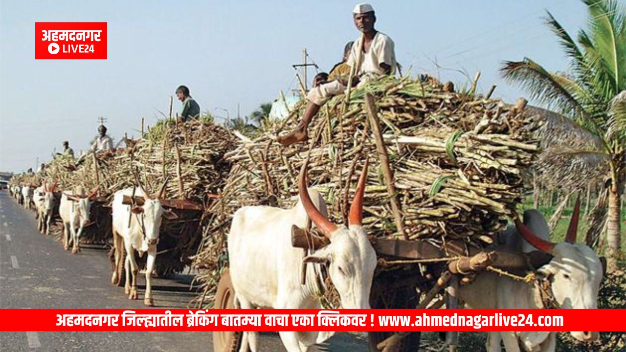 Ahmednagar News