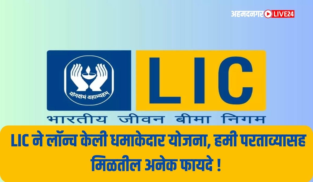 LIC Policy