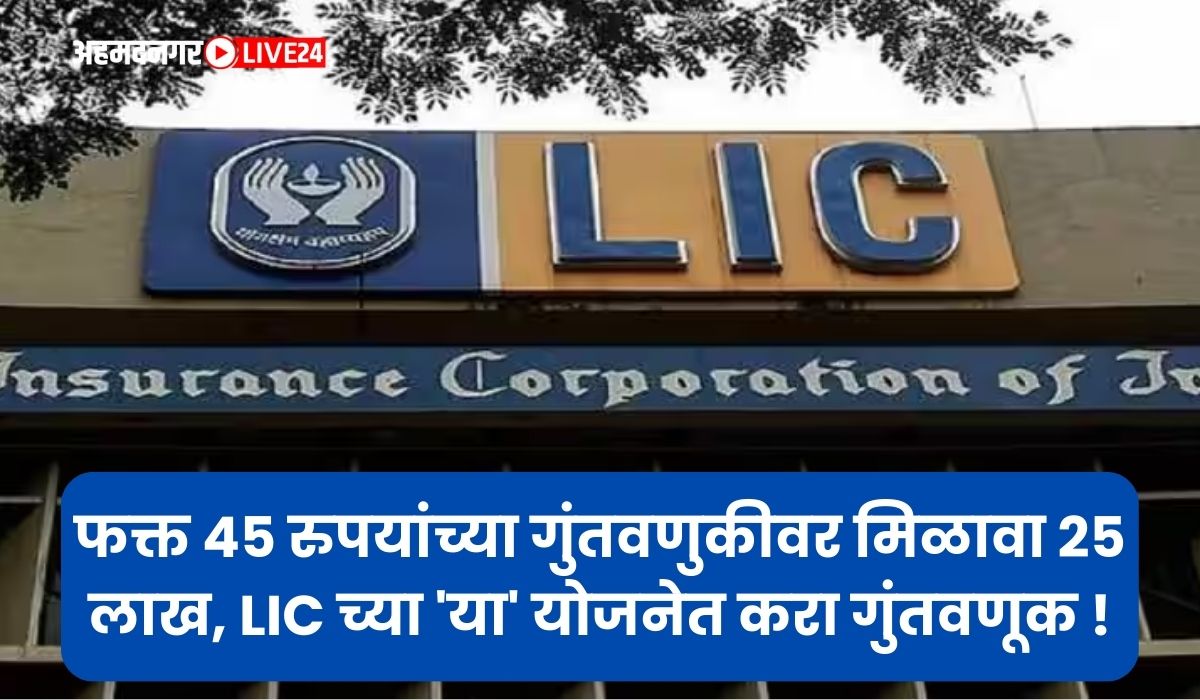 LIC policy