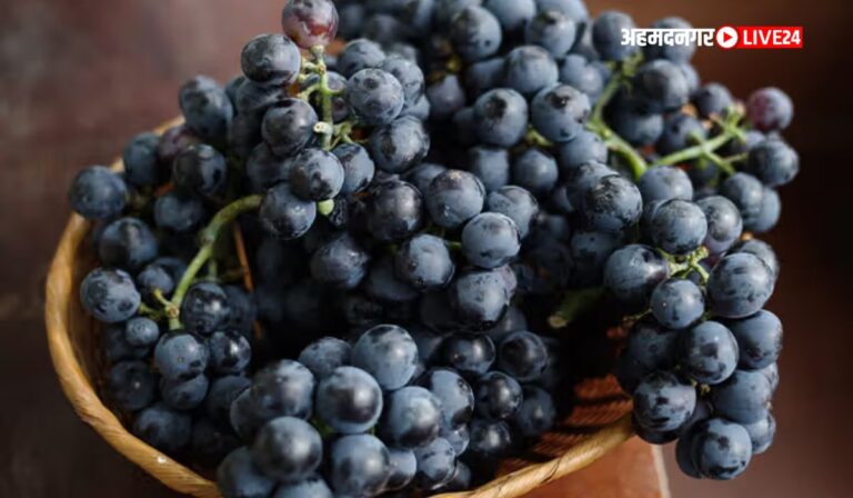 Side Effects Of Black Grapes