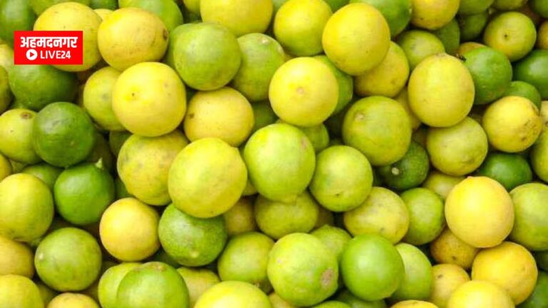 Lemon Price